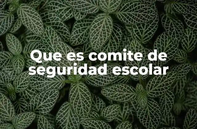 Que es Comite de Seguridad Escolar