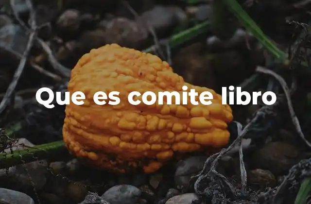 Que es Comite Libro