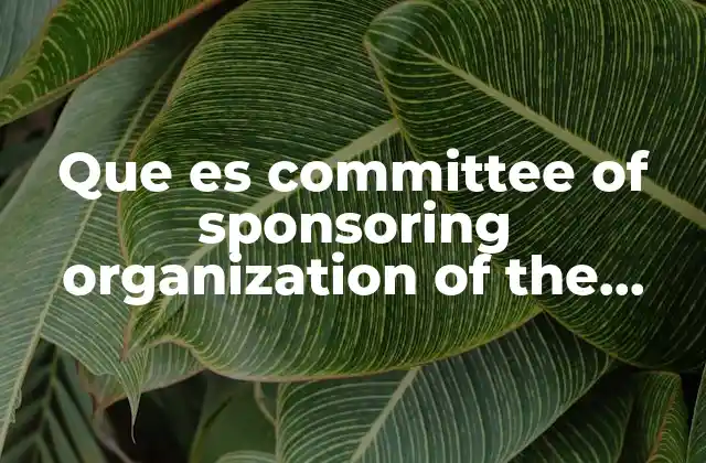 Que es Committee Of Sponsoring Organization Of The Treadway Commission