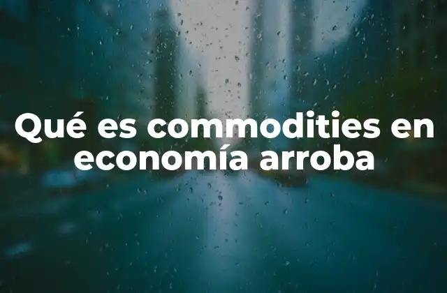 El papel de las commodities en los mercados globales