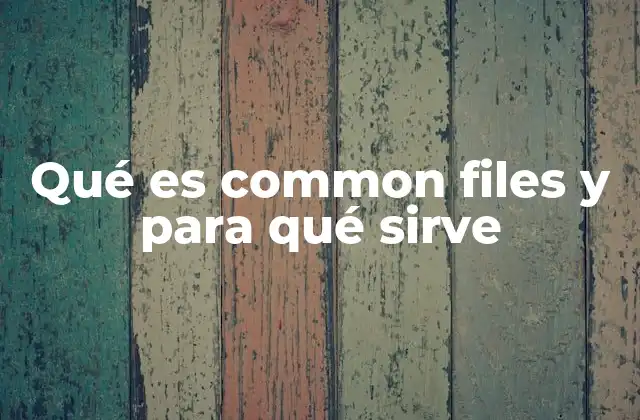 Qué es Common Files y para Qué Sirve