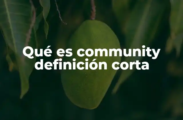La importancia de las communities en el entorno digital