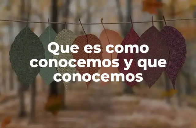 Que es como Conocemos y que Conocemos