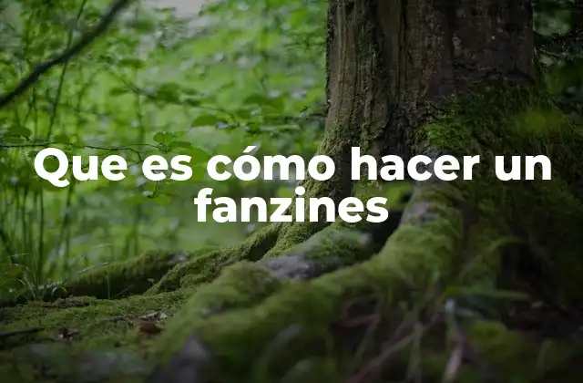 Que es Cómo Hacer un Fanzines