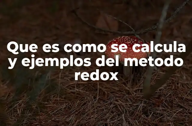 Que es como Se Calcula y Ejemplos Del Metodo Redox