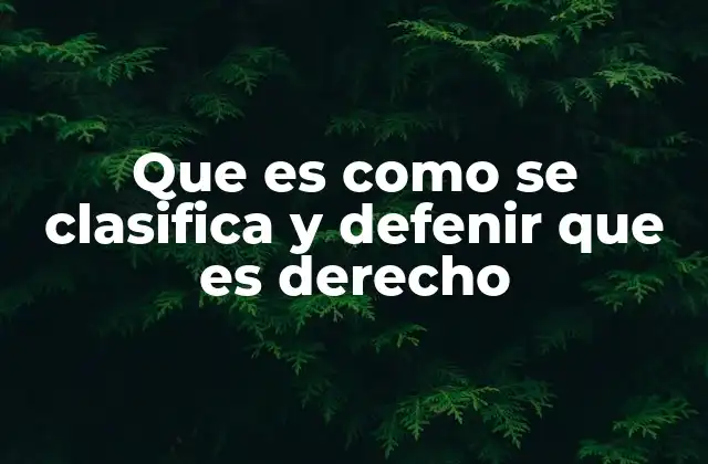 El papel del derecho en la sociedad moderna