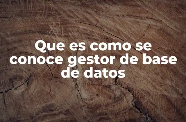 Que es como Se Conoce Gestor de Base de Datos