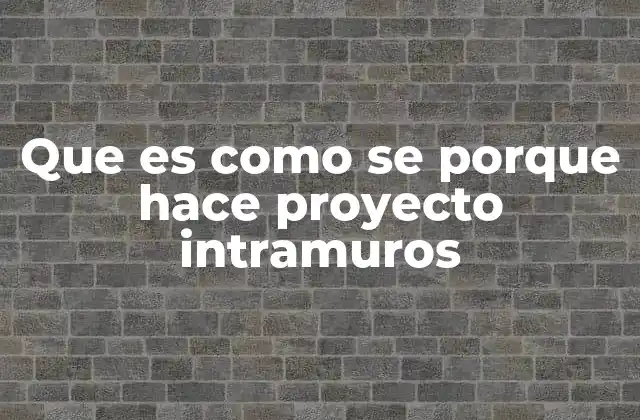 Que es como Se Porque Hace Proyecto Intramuros