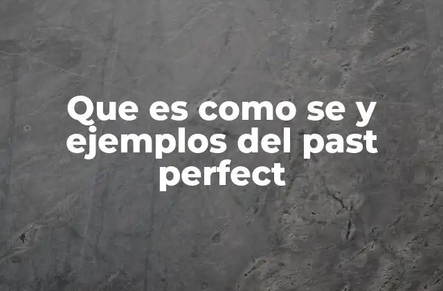 Que es como Se y Ejemplos Del Past Perfect