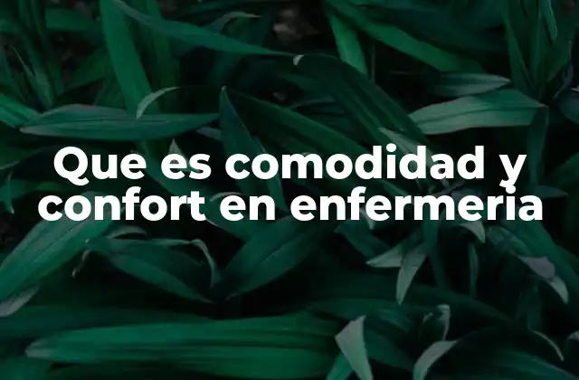 Que es Comodidad y Confort en Enfermeria 2 El rol del profesional de enfermería en la mejora del bienestar del paciente