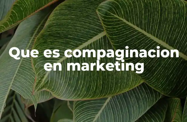 Que es Compaginacion en Marketing