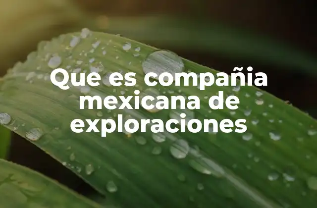 Que es Compañia Mexicana de Exploraciones