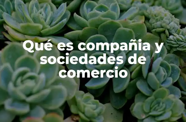 Qué es Compañia y Sociedades de Comercio