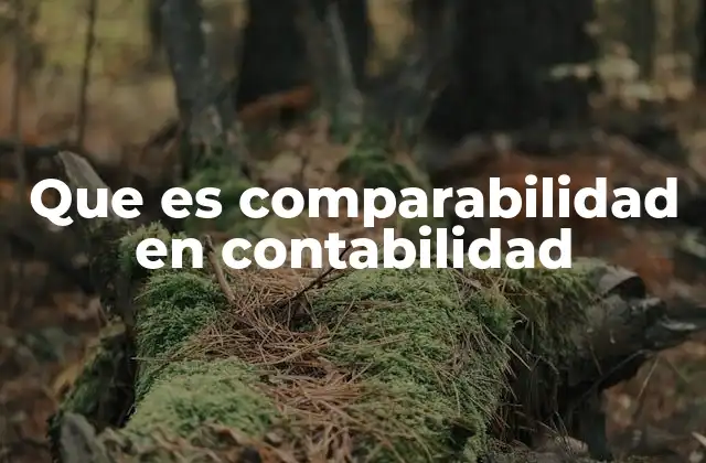 Que es Comparabilidad en Contabilidad