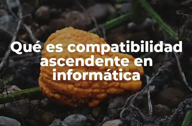 Qué es Compatibilidad Ascendente en Informática