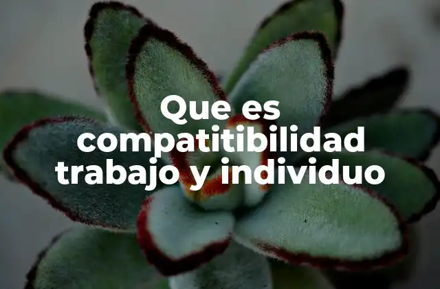 La importancia del equilibrio entre vida laboral y personal