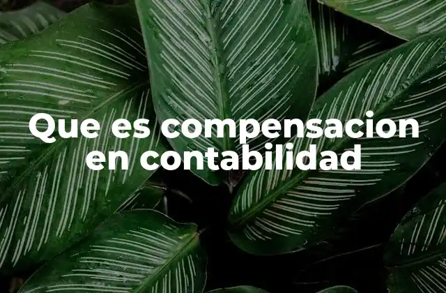 Que es Compensacion en Contabilidad