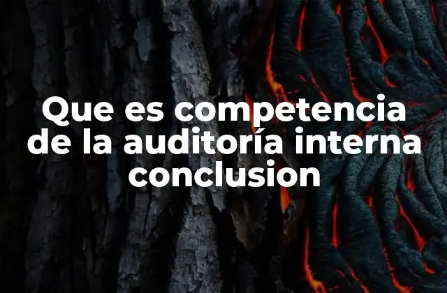 Que es Competencia de la Auditoría Interna Conclusion