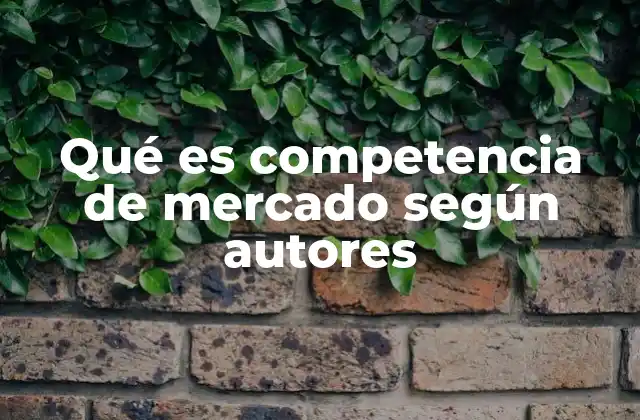 Diferentes perspectivas sobre la competencia en el entorno empresarial