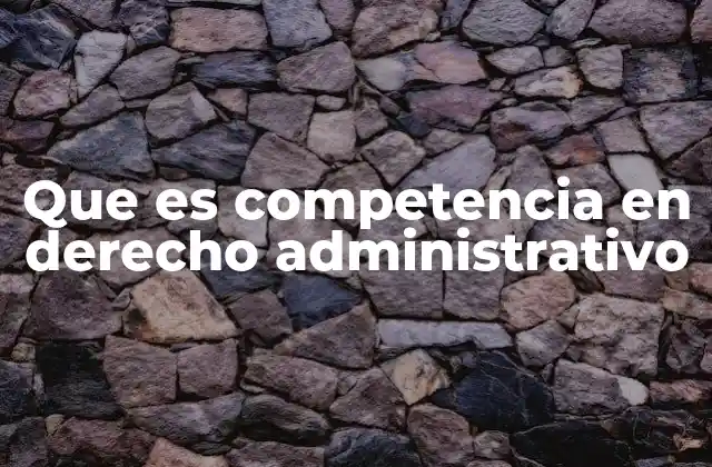 La organización del Estado y la asignación de competencias