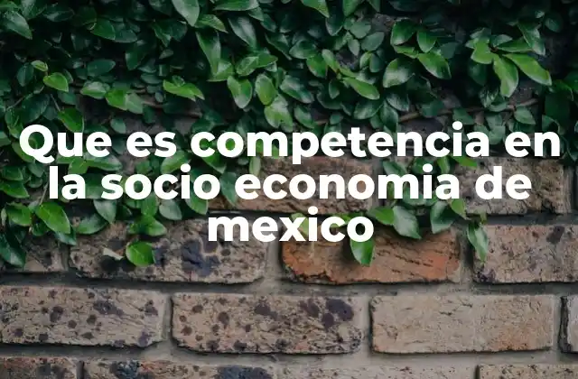 Que es Competencia en la Socio Economia de Mexico