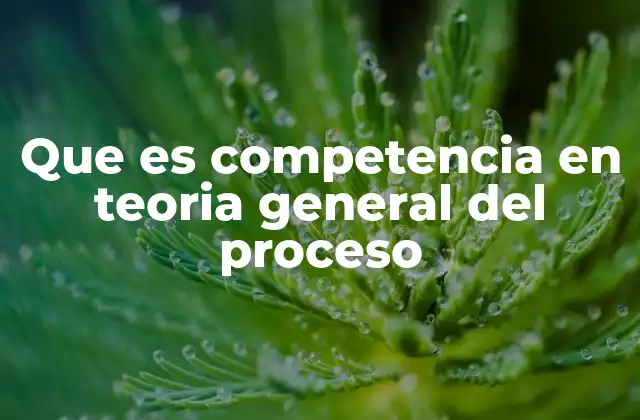 Que es Competencia en Teoria General Del Proceso 2 El papel de la competencia en el acceso a la justicia