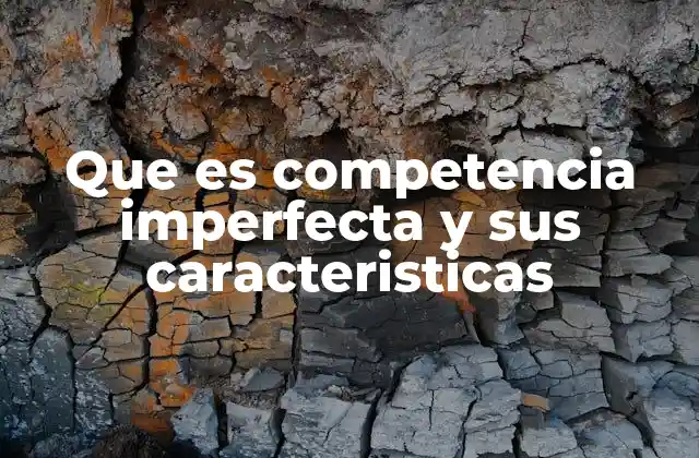 Que es Competencia Imperfecta y Sus Caracteristicas