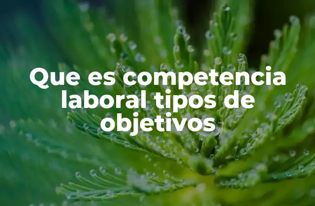 Que es Competencia Laboral Tipos de Objetivos