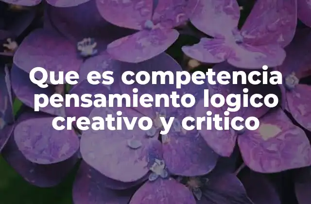 Que es Competencia Pensamiento Logico Creativo y Critico