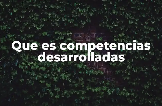 Que es Competencias Desarrolladas
