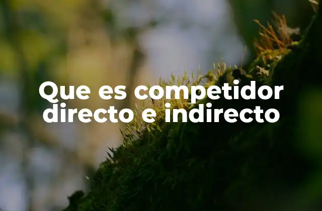 Que es Competidor Directo e Indirecto