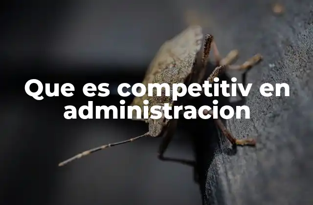 Que es Competitiv en Administracion