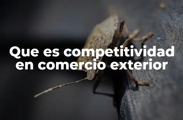 Factores que influyen en el desempeño del comercio internacional