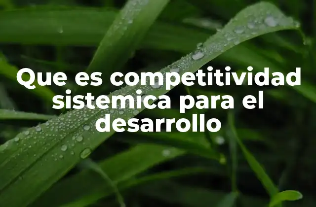 Que es Competitividad Sistemica para el Desarrollo