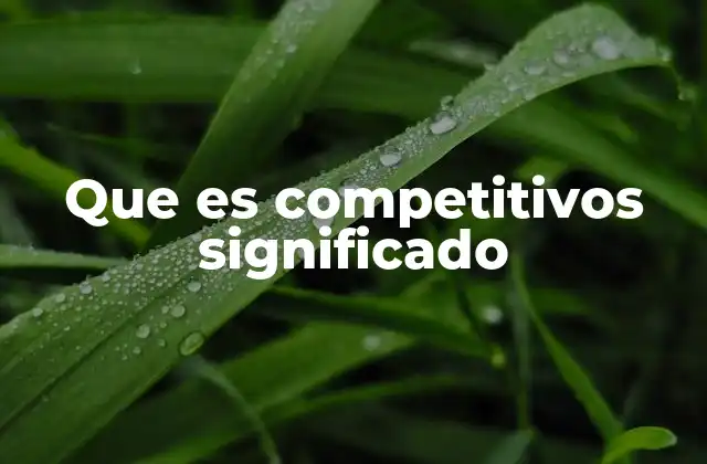 Que es Competitivos Significado