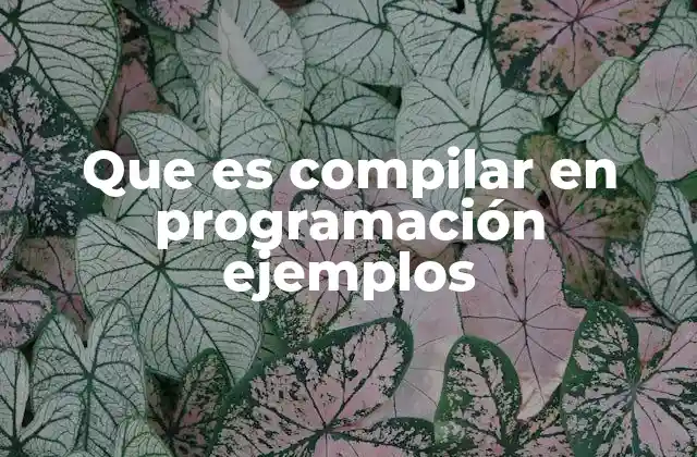 Que es Compilar en Programación Ejemplos 2 Cómo el proceso de compilar conecta al programador con la máquina