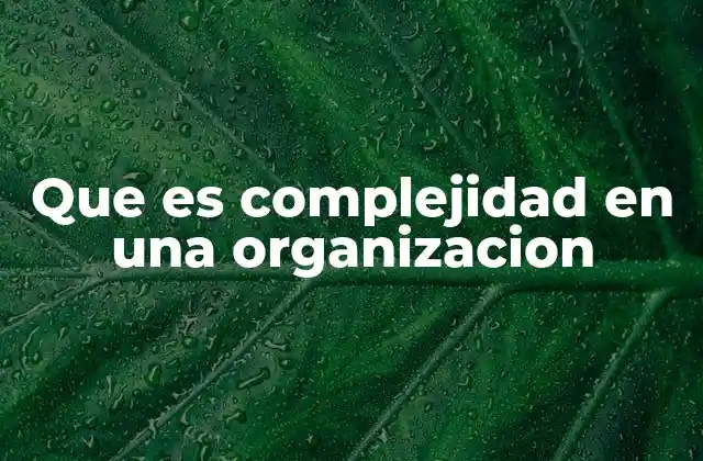Que es Complejidad en una Organizacion