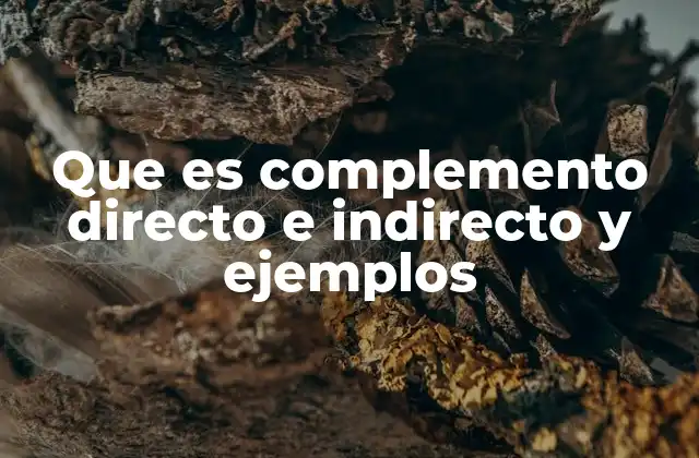Que es Complemento Directo e Indirecto y Ejemplos