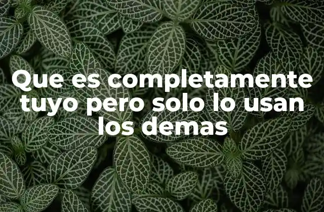 Que es Completamente Tuyo pero Solo Lo Usan los Demas