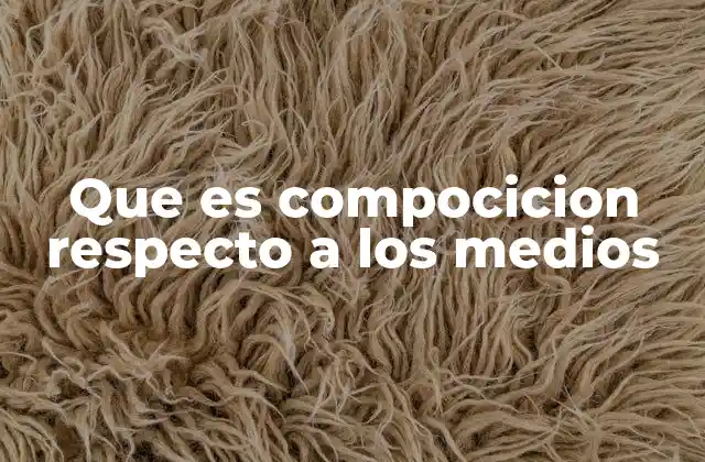 Que es Compocicion Respecto a los Medios