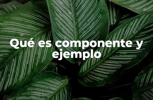 La importancia de los elementos que forman un sistema