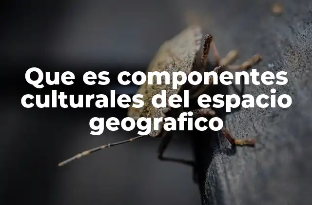 La interacción entre cultura y territorio