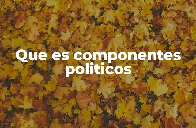 Que es Componentes Politicos