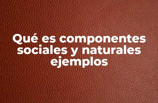Qué es Componentes Sociales y Naturales Ejemplos