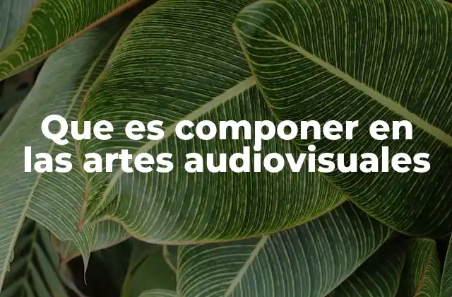 Que es Componer en las Artes Audiovisuales