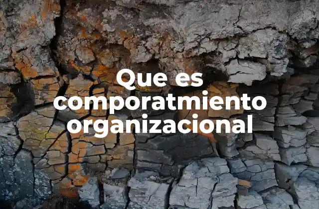 Que es Comporatmiento Organizacional