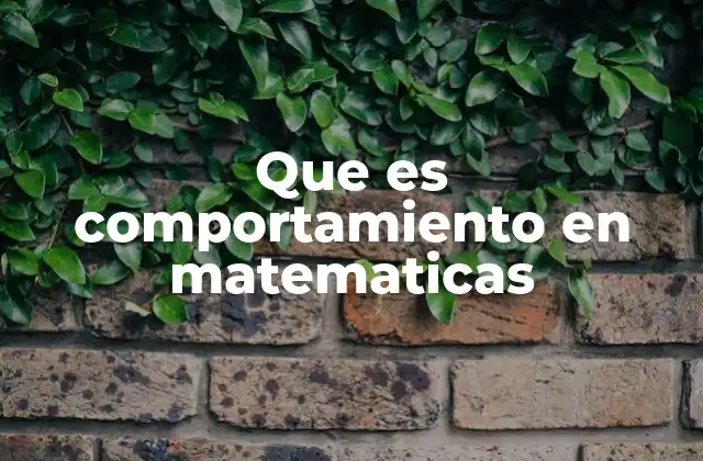 Que es Comportamiento en Matematicas