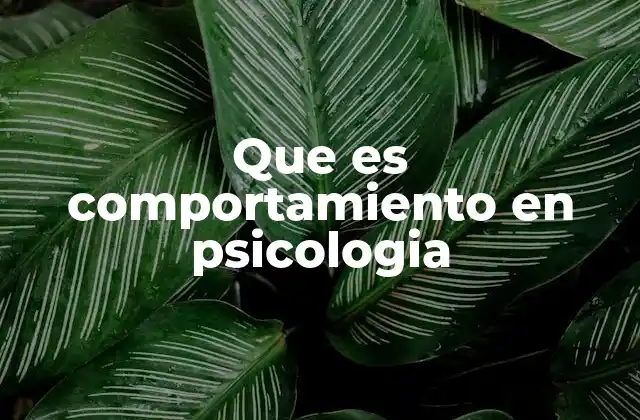 Que es Comportamiento en Psicologia