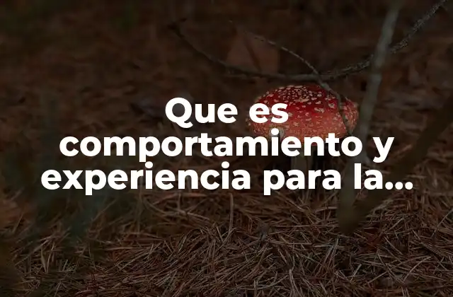 Que es Comportamiento y Experiencia para la Filosofia