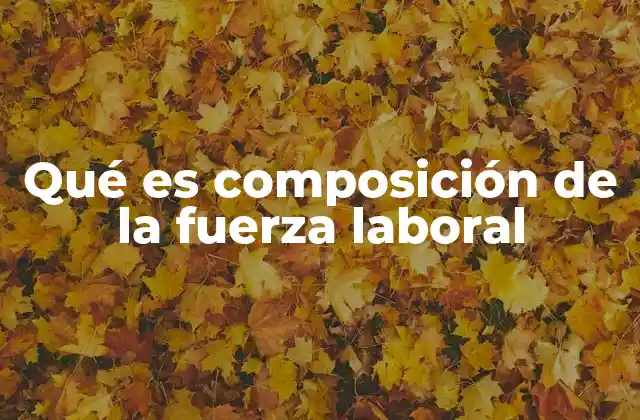 Qué es Composición de la Fuerza Laboral